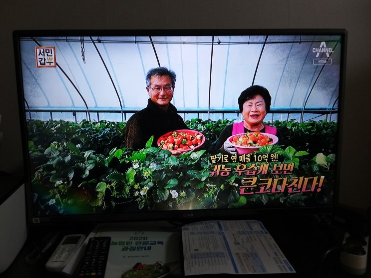  마눌님한테서 온 카톡 - 딸기로 10억을 번다고?