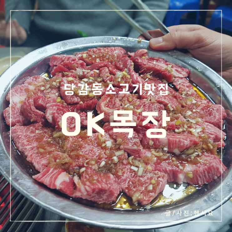  당감동 현지맛집 OK목장, 소고기 퀄리티와 가성비가 장난 없음
