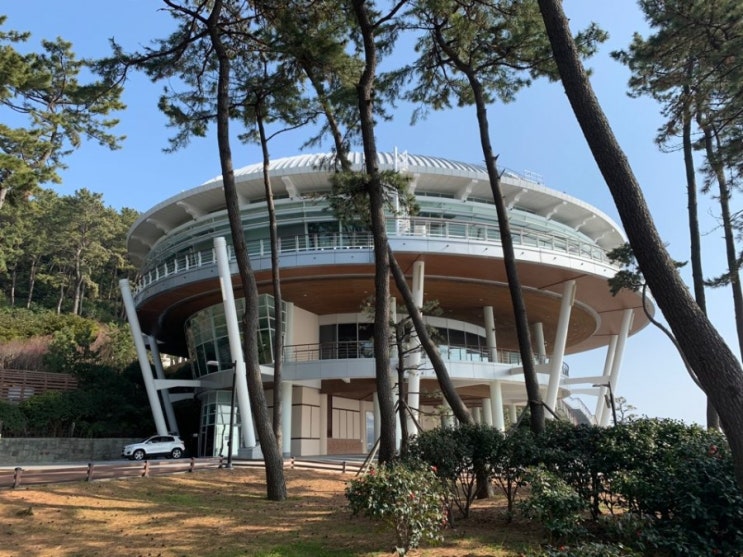  도심속 힐링 명소 동백섬 산책길 - 누리마루, 흔들다리까지 천천히 걷는 여유로운 주말오후