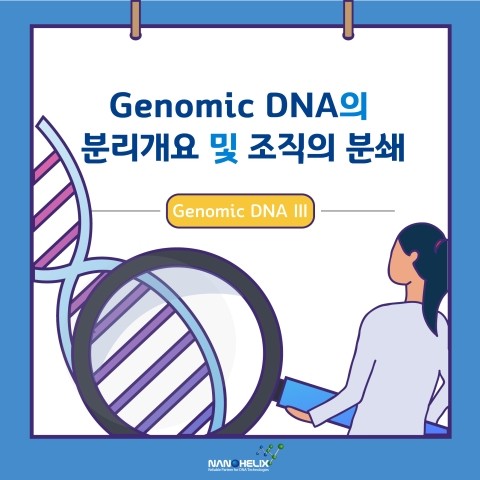 [Genomic DNA -III]Genomic DNA 분리 개요 및 조직의 분쇄(Disruption)
