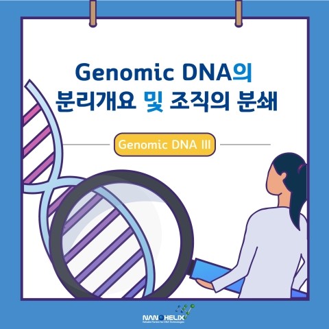  [Genomic DNA -III]Genomic DNA 분리 개요 및 조직의 분쇄(Disruption)