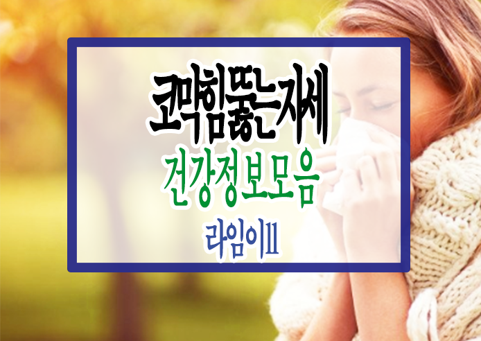 시도 때도 없이 막히는 내 코를 위해, 코막힘 뚫는 자세 추천