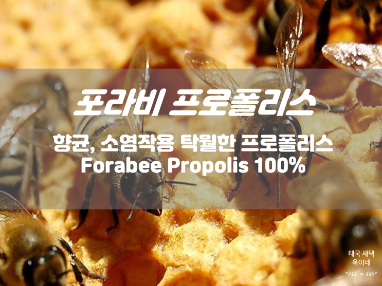  포라비 그린 프로폴리스 항균, 소염효과로 바이러스 예방
