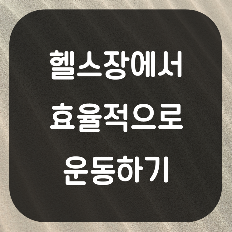  헬스장에서 효율적으로 운동하기. 운동방법 꿀팁 하체운동법 상체운동법 맨몸운동법