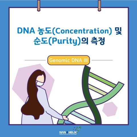 DNA 농도(Concentration) 및 순도(Purity) 측정