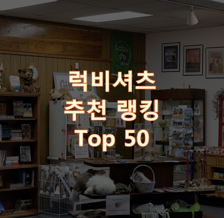  가성비 좋은 럭비셔츠 리뷰 베스트 50