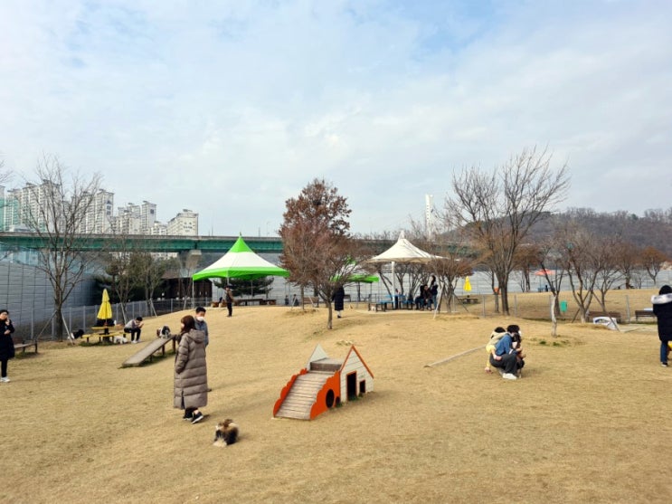  수원 기흥 호수공원 무료 반려견 놀이터 좋아요!!