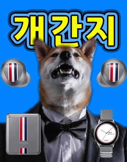  멍? 갤럭시 Z플립 톰브라운 에디션은 매장판매를 안한다구?