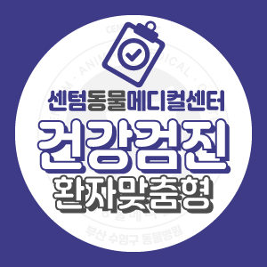  [반려동물 맞춤형 건강검진센터] 강아지 고양이 조기 진단의 중요성 (부산 남구 연제구 수영구 동물병원 센텀동물메디컬센터)