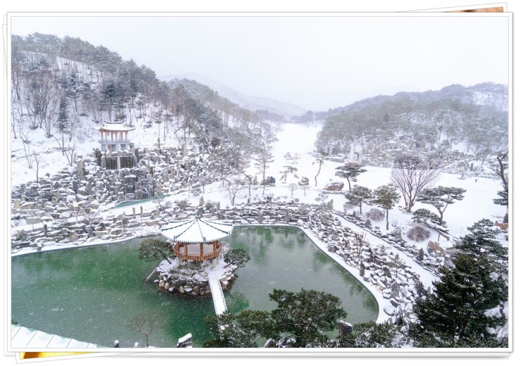  월명동 설경!!