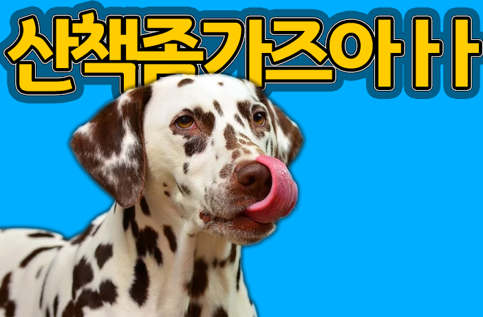  웰킵스몰! KF80, KF90 마스크좀 팔아주라개!