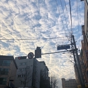  2019년 기록용