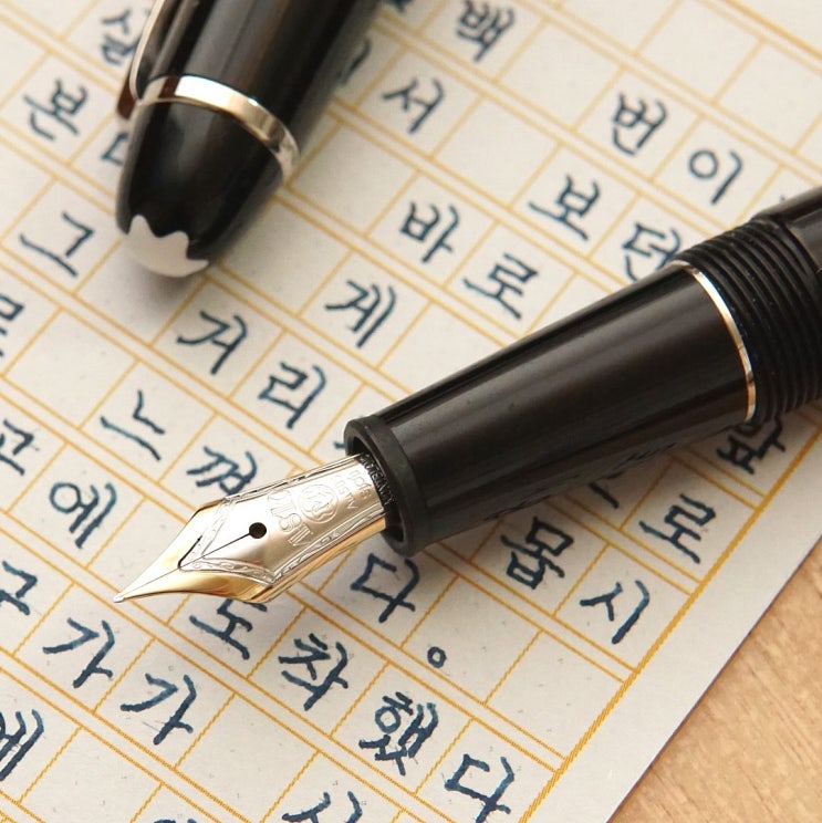  낯설지 않지만 낯설은 느낌 (몽블랑 마이스터스튁 145 ef닙)