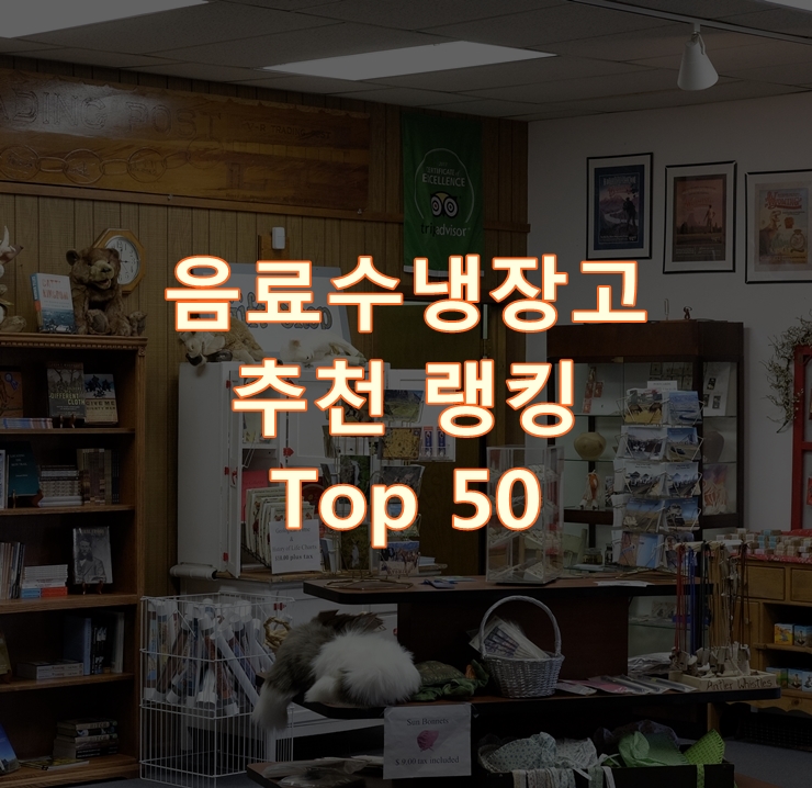  가성비 좋은 음료수냉장고 리뷰 Top 50
