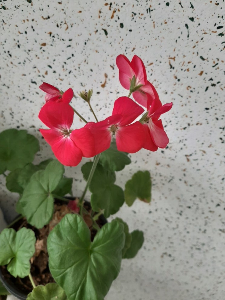  사람이 술의 주인이 돼야지, 술이 사람의 주인이 되면 안되는 것 아닌가?