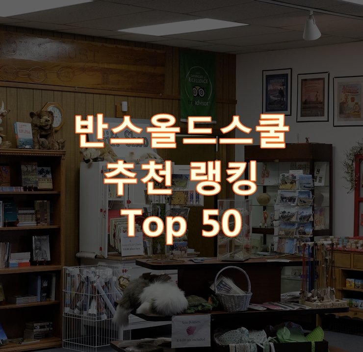  가성비 좋은 반스올드스쿨 랭킹 Best 50