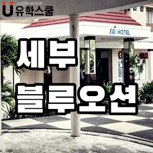  30대 이상 맞춤형 코스가 있는 세부 블루오션어학원