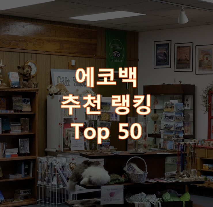  인기 좋은 에코백 리뷰 베스트 50