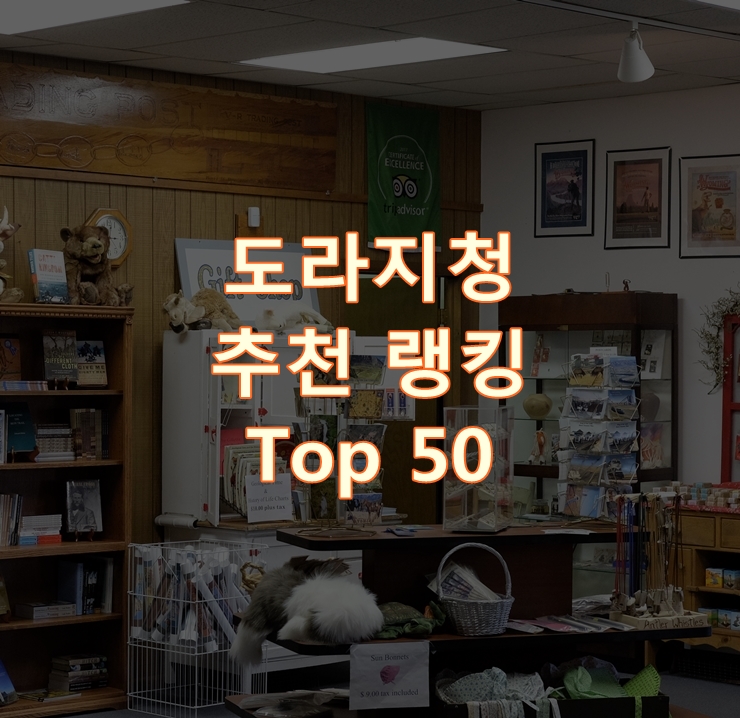  가성비 좋은 도라지청 랭킹 베스트 50