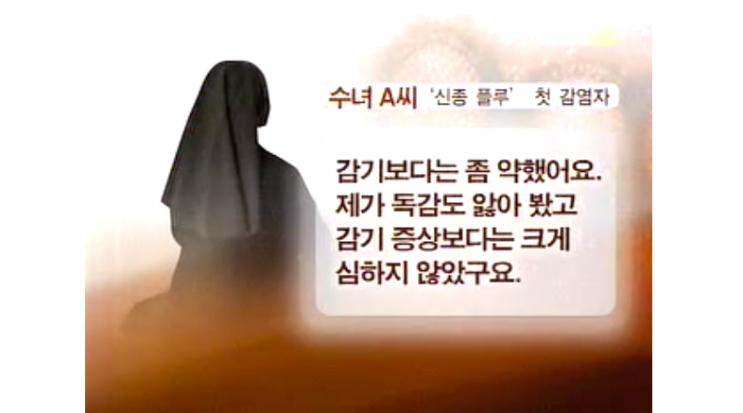 2009년 신종플루 유행 시 언론 보도와 현재 코로나19 비교 2009년 신종플루 유행 시 언론 보도와 현재 코로나19 비교