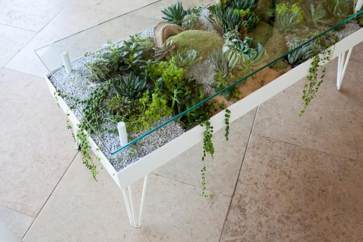 모던 가구 디자인 접목 식물 인테리어 식물 데코 커피 테이블 플랜테리어