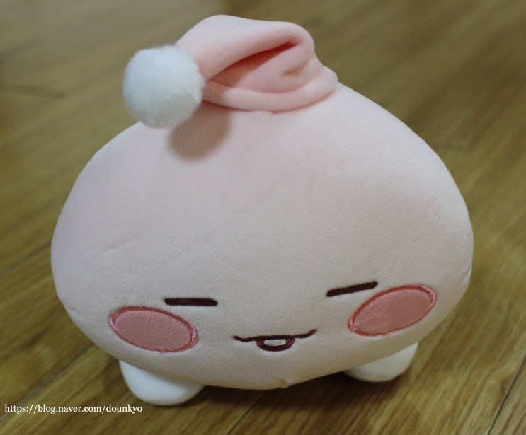  우리 딸 대학교 졸업식이 코로나 바이러스 때문에 취소되었어요 / 카카오프렌즈 어피치 인형