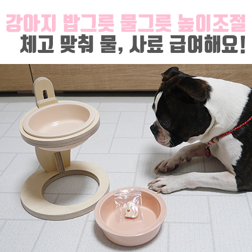 [보보일기/마미아집사] 강아지 밥그릇 물그릇 높이 조절해서 급여해요! (feat. 밥그릇 높이의 중요성)