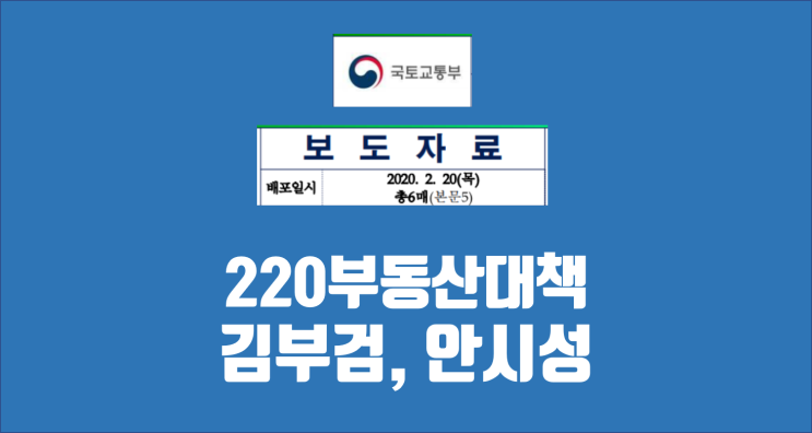 220부동산대책 / 부동산 신조어 탄생 / 김부검이냐 안시성이냐?