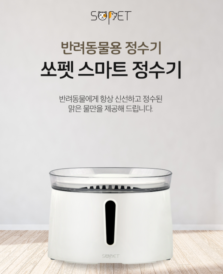  하루 한 문장 '100% 확신해요 !'를 영어로?