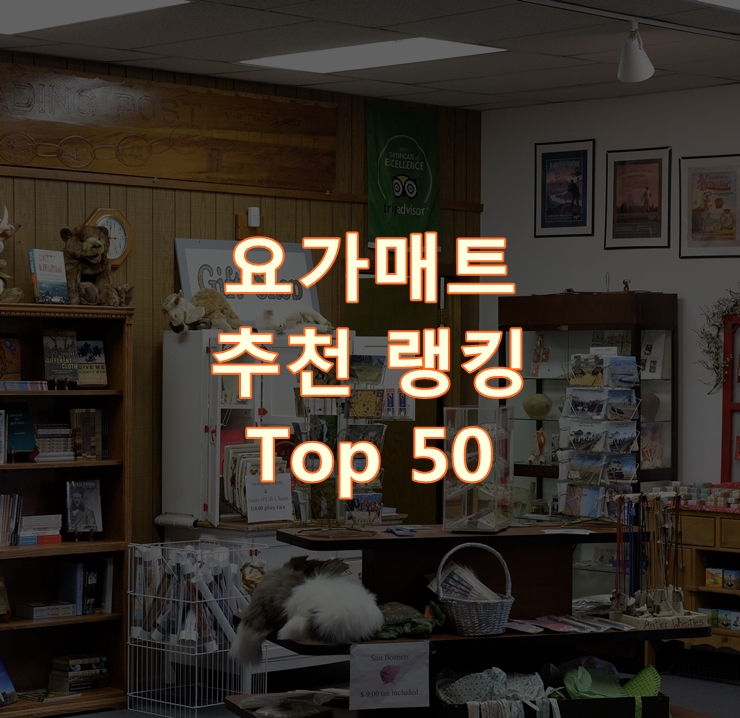  인기 좋은 요가매트 리뷰 베스트 50