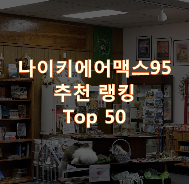  가성비 좋은 나이키에어맥스95 순위 Best 50