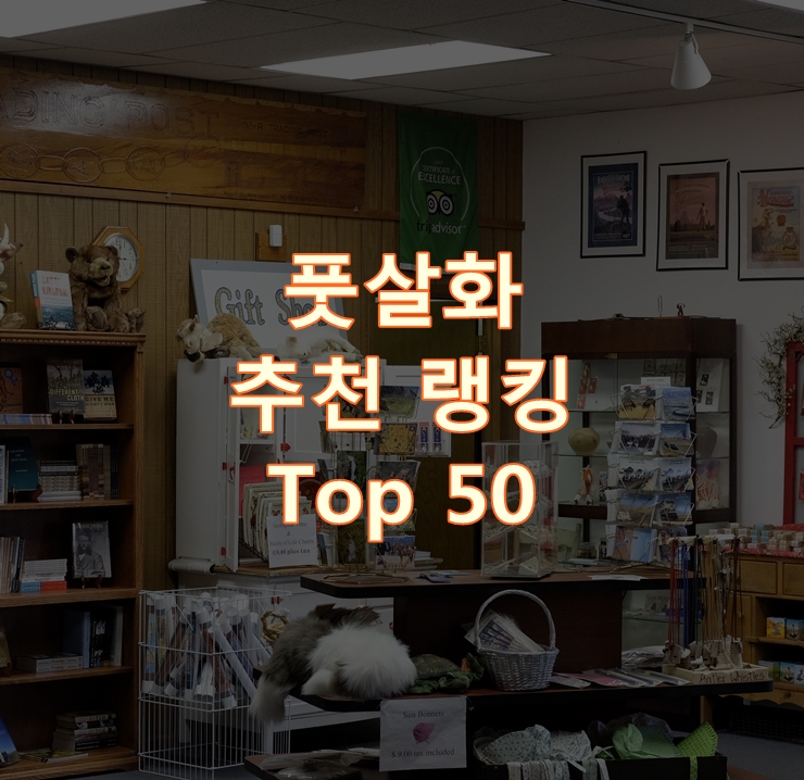  가성비 좋은 풋살화 랭킹 Best 50