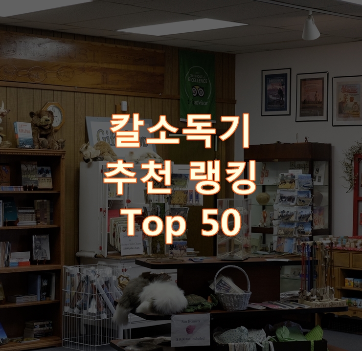  인기 좋은 칼소독기 랭킹 베스트 50