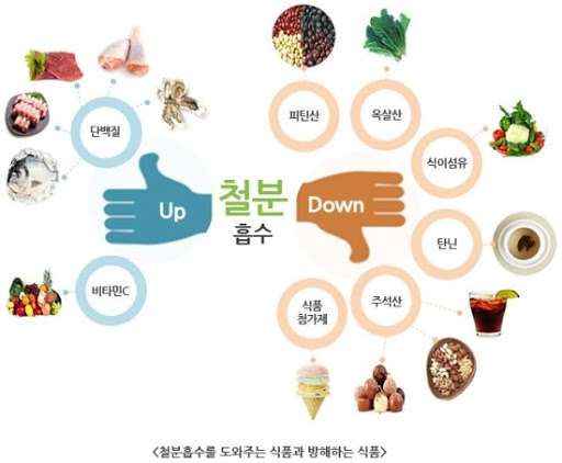  동물성 단백질과 신물성 단백질