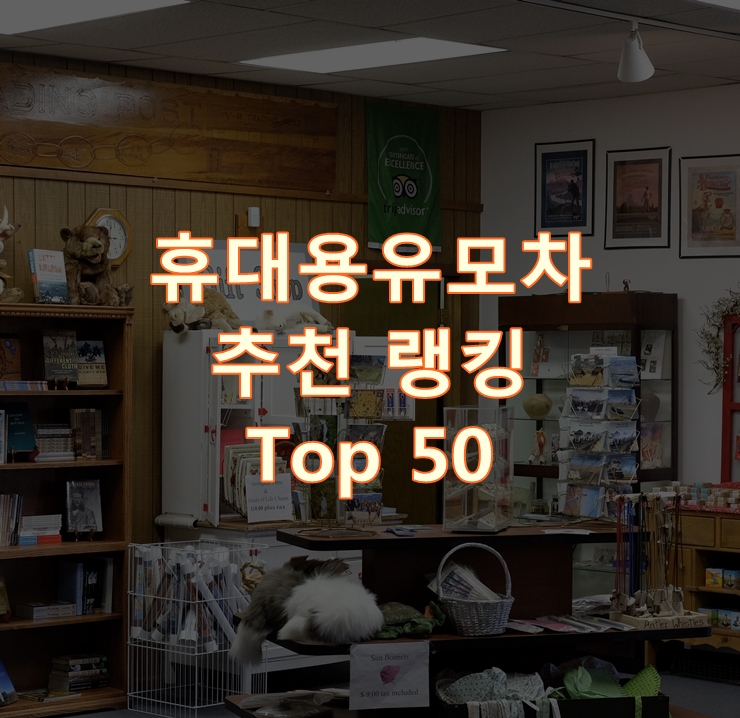  판매가 좋은 휴대용유모차 리뷰 베스트 50