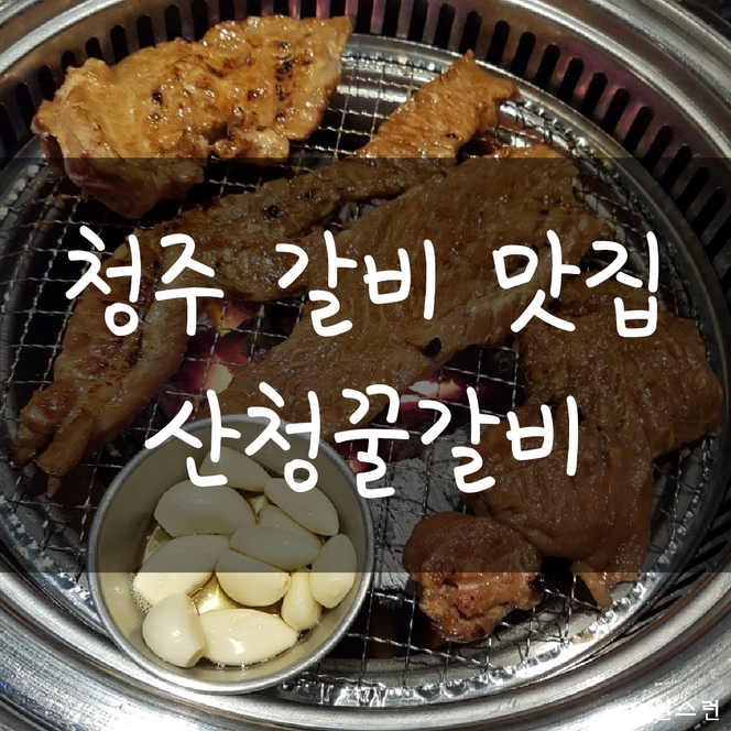  청주 맛집, 청주 갈비, 청주 갈비집, 청주 소고기집 = 청주 비하동 산청꿀갈비!!