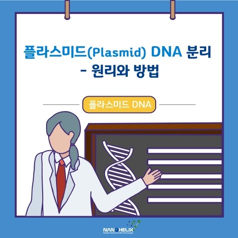  플라스미드(Plasmid) DNA 분리 - 원리(Principle)와 방법(Methods)