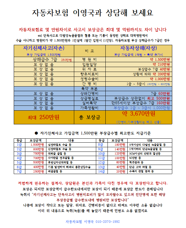  자동차 상해(자상)와 자기신체사고(자손)의 차이1