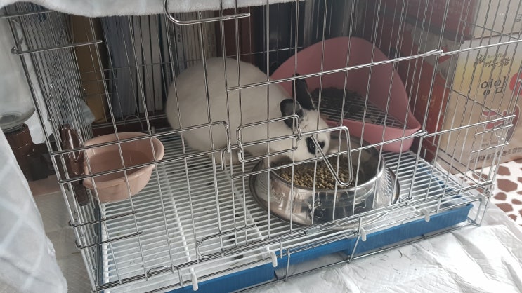  오랜만에 집으로 귀가!!