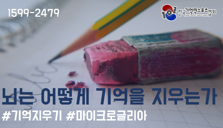  [사이언스 모니터]뇌는 어떻게 기억을 지우는가