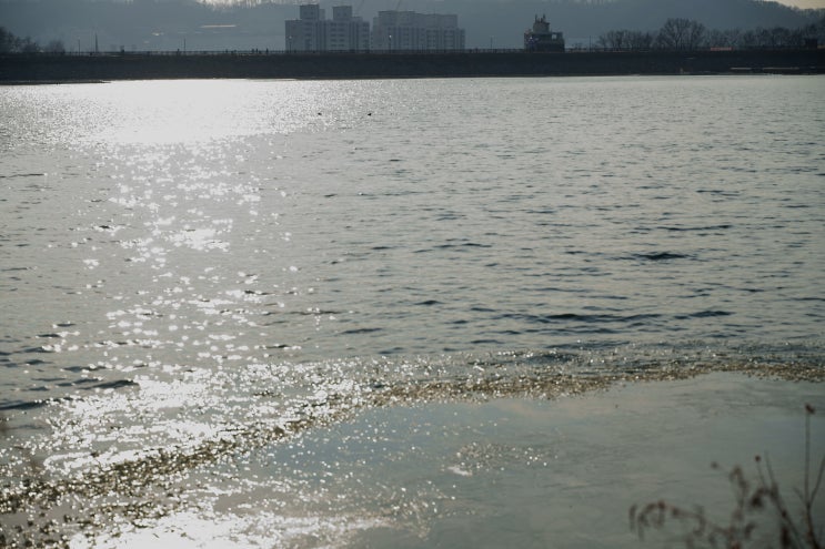  오남호수 공원, 오남도시숲. 겨울이 떠나다.