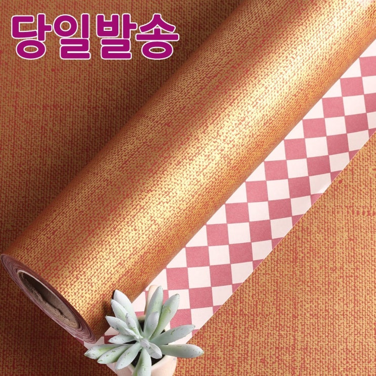  챙겨챙겨 지금 챙겨요. 컨버스 Top 20