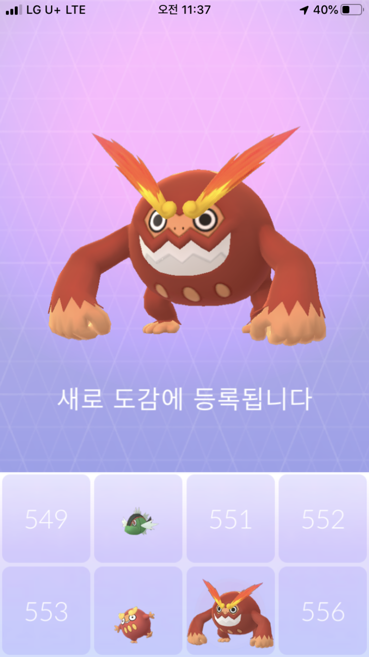  달막화 진화 “불비달마”