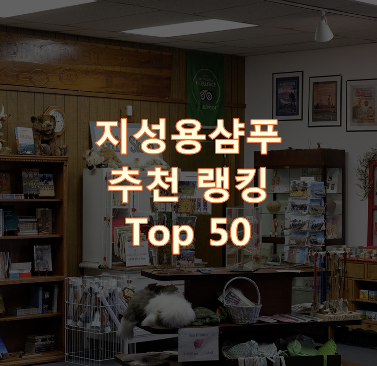  인기 좋은 지성용샴푸 리뷰 베스트 50