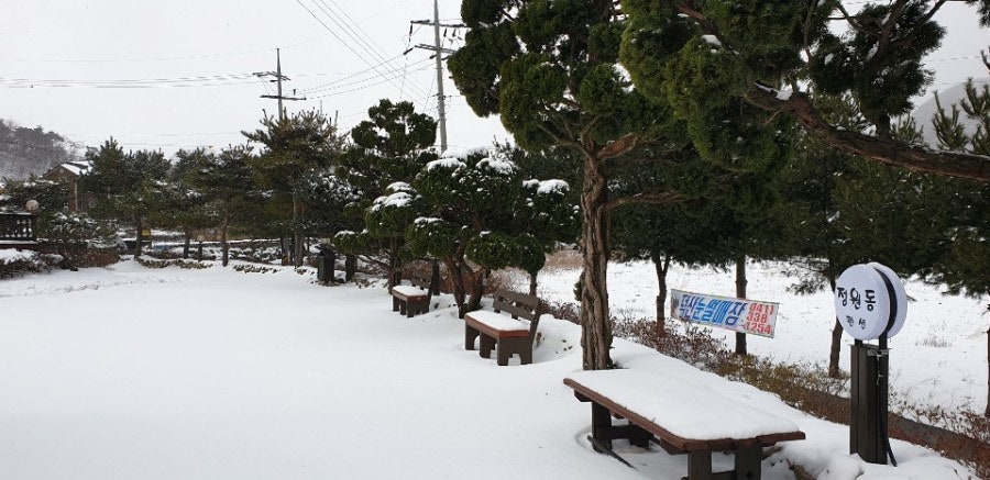 Jeongwondongpensyeon photo 4