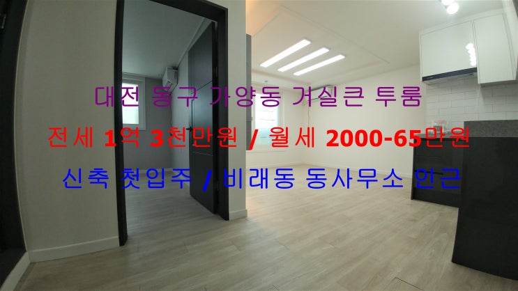  대전 동구 가양동 비래동 동사무소 인근에 있는 신축 첫입주 거실큰 투룸 ~! 전세 월세 모두 가능한 매물입니다 ^^