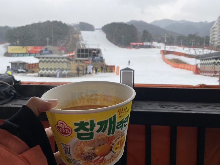 [베어스타운] 보드타기 데이트!서울근교 데이트, 서울근교 가볼만한곳(스키장,포천놀거리,참깨라면)