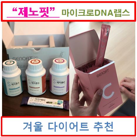  제노핏 다이어트 겨울다이어트 효과 톡톡