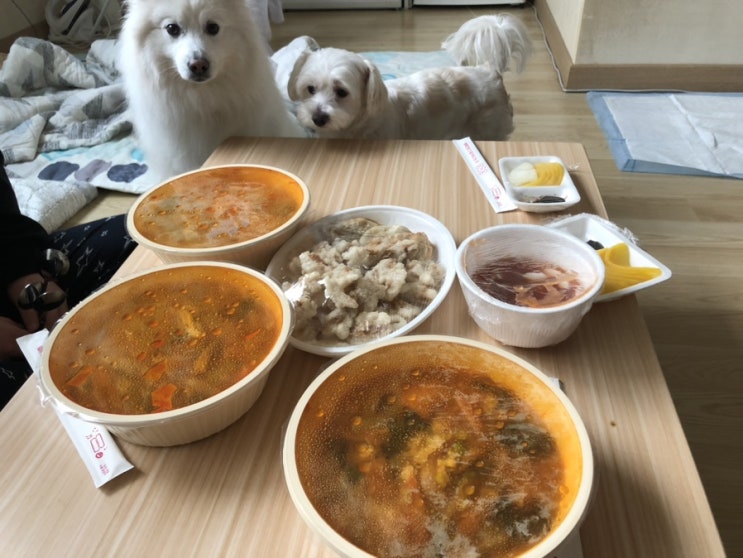 인천 신현동 중국집 맛집 차이홍 짬뽕 찹쌀탕수육 가격 배달의민족