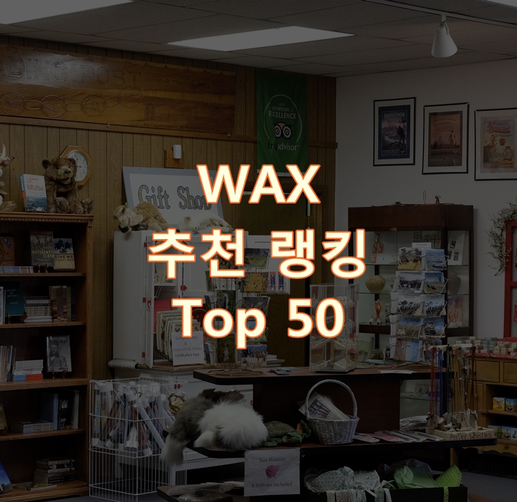 가성비 좋은 WAX 랭킹 Top 50